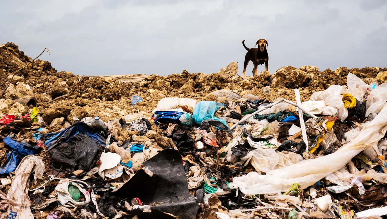 Déchets (1/2) : Des tonnes sonnantes et fumantes