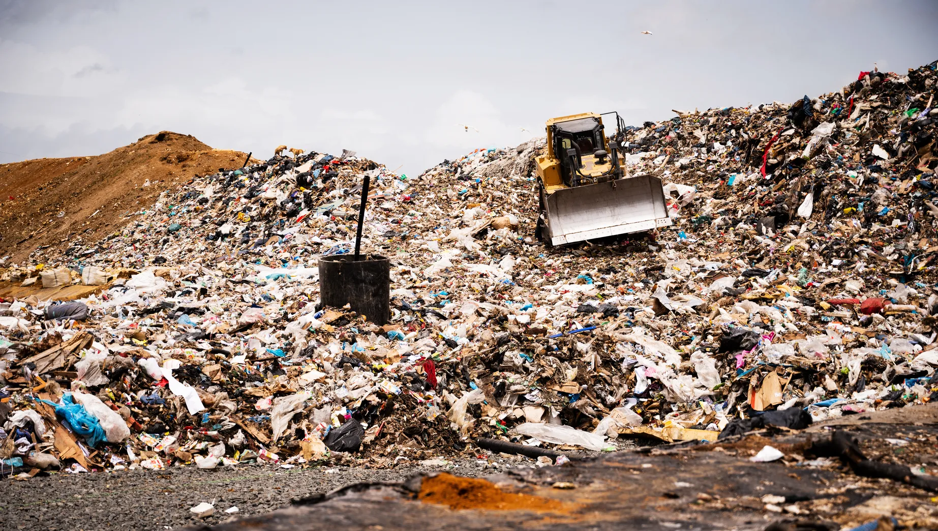 Déchets (2/2) : Sous les poubelles, le crime organisé