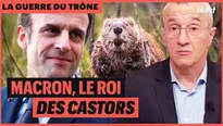 Macron, le roi des castors