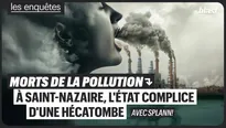 Morts de la pollution : à Saint-Nazaire, l'État complice d'une hécatombe