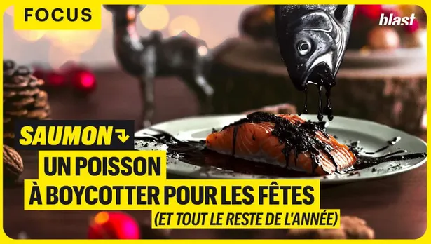 Saumon : Un poisson à boycotter pour les fêtes (et tout le reste de l'année)