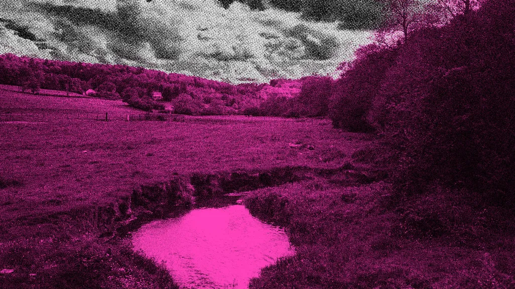 « Biorégion » : cinquante ans de préparation à l’autonomie politique