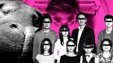 Bong Joon-ho, chroniqueur des fractures sociales